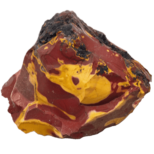 Mokait Rotstein